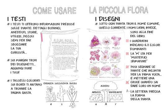 Piccola Flora del Viandante