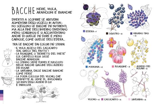 Piccola Flora del Viandante