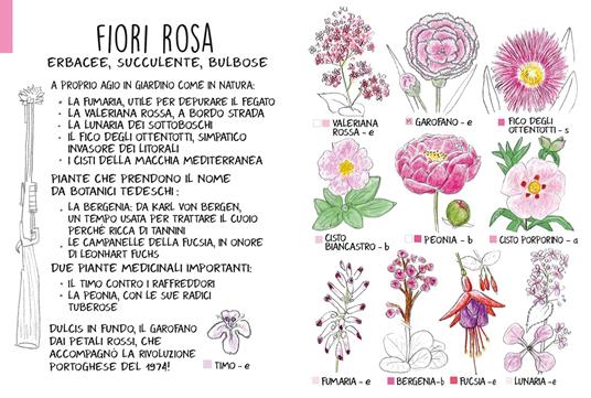 Piccola Flora del Viandante