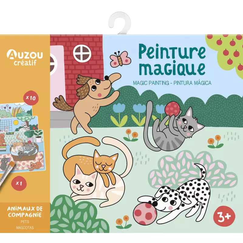 Kit Pittura ad acqua